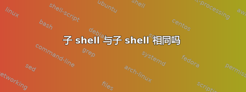 子 shell 与子 shell 相同吗