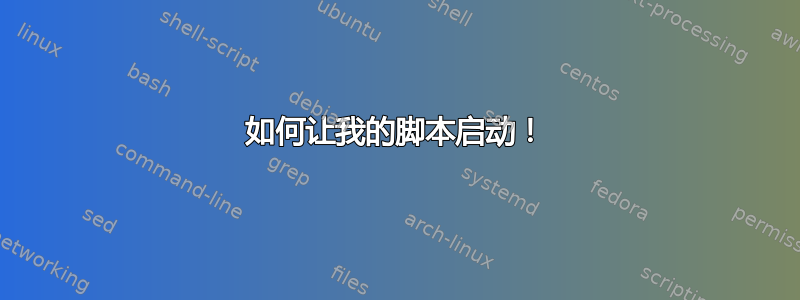 如何让我的脚本启动！