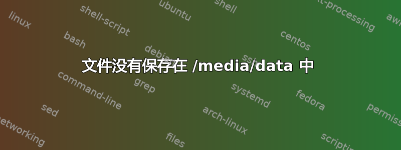 文件没有保存在 /media/data 中