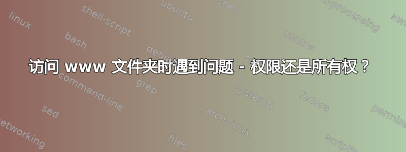 访问 www 文件夹时遇到问题 - 权限还是所有权？