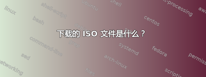 下载的 ISO 文件是什么？