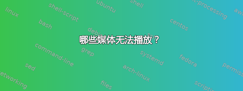 哪些媒体无法播放？