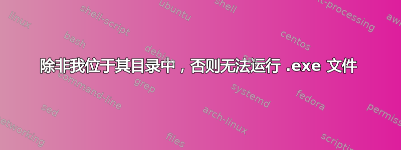 除非我位于其目录中，否则无法运行 .exe 文件