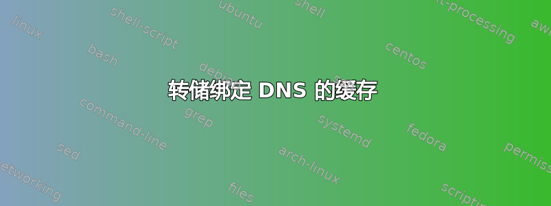 转储绑定 DNS 的缓存