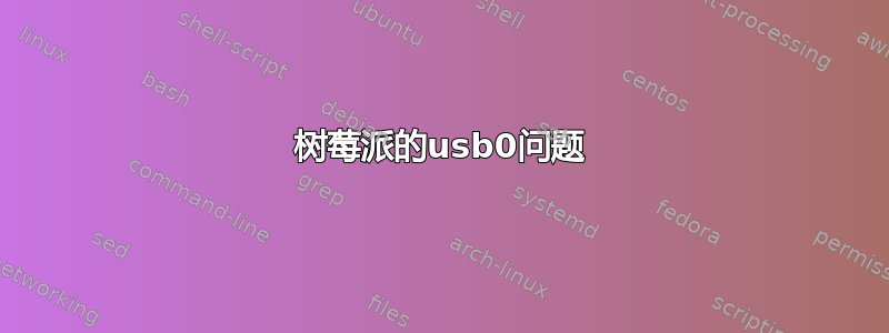 树莓派的usb0问题