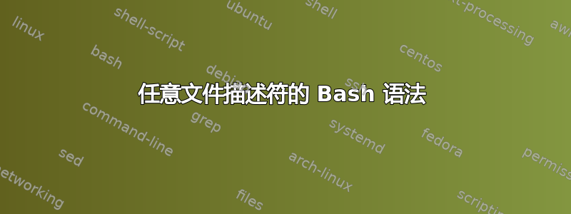 任意文件描述符的 Bash 语法