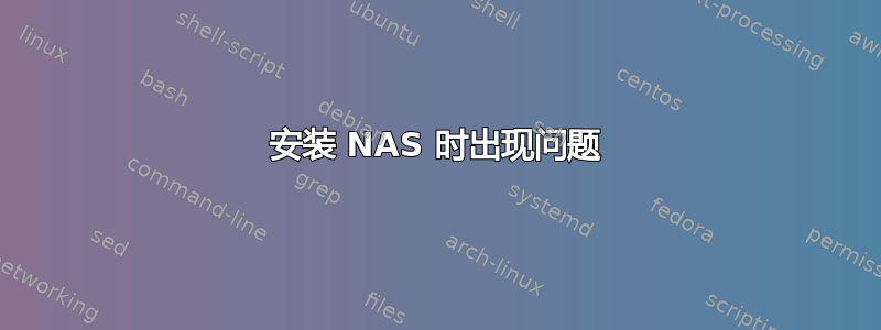 安装 NAS 时出现问题