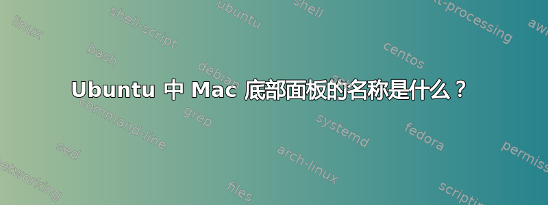 Ubuntu 中 Mac 底部面板的名称是什么？