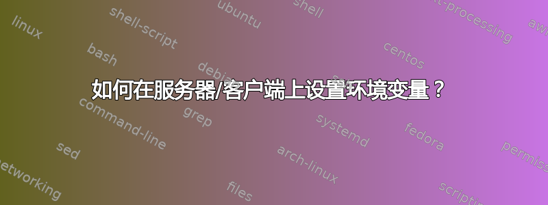 如何在服务器/客户端上设置环境变量？