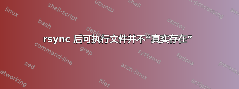 rsync 后可执行文件并不“真实存在”