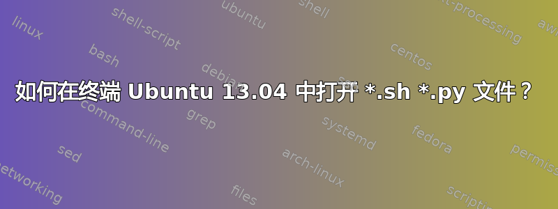 如何在终端 Ubuntu 13.04 中打开 *.sh *.py 文件？