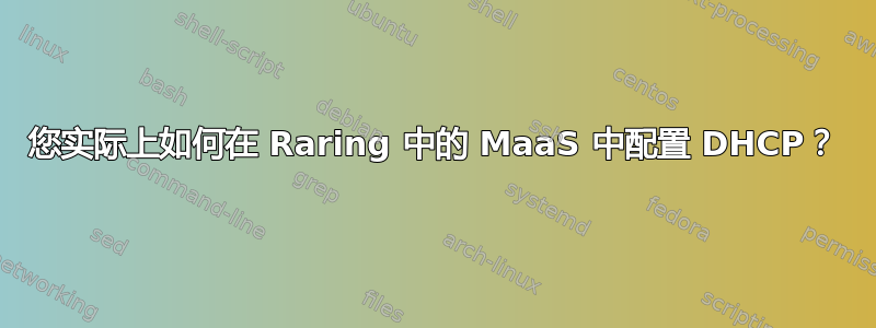 您实际上如何在 Raring 中的 MaaS 中配置 DHCP？