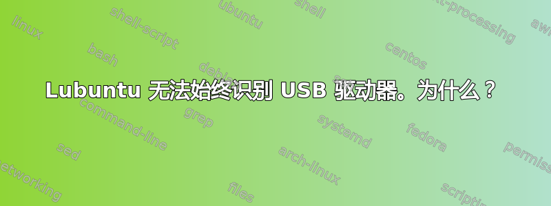 Lubuntu 无法始终识别 USB 驱动器。为什么？