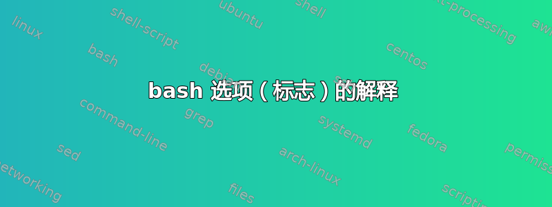 bash 选项（标志）的解释