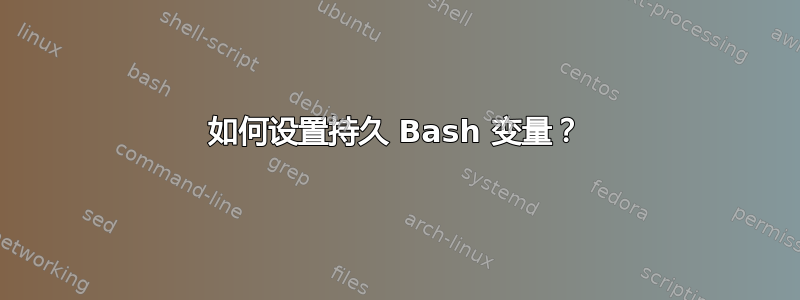 如何设置持久 Bash 变量？