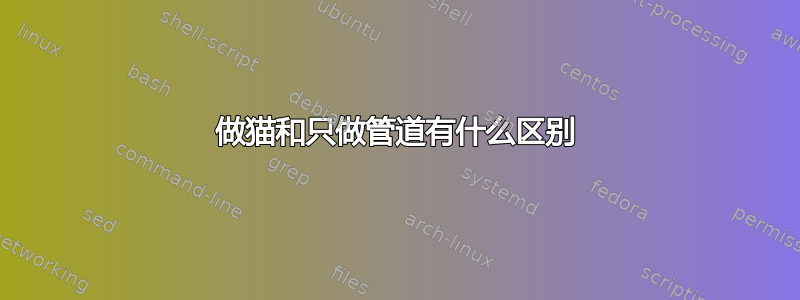 做猫和只做管道有什么区别