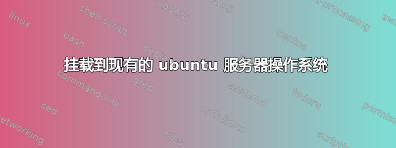 挂载到现有的 ubuntu 服务器操作系统