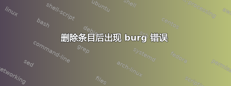 删除条目后出现 burg 错误