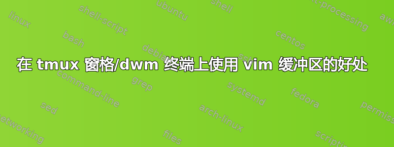 在 tmux 窗格/dwm 终端上使用 vim 缓冲区的好处 