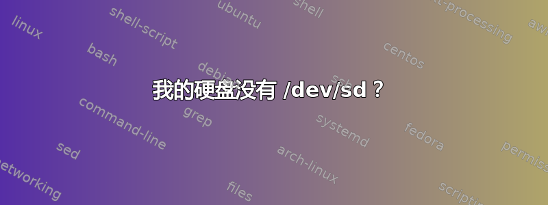 我的硬盘没有 /dev/sd？