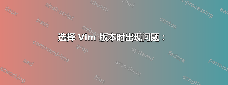 选择 Vim 版本时出现问题：