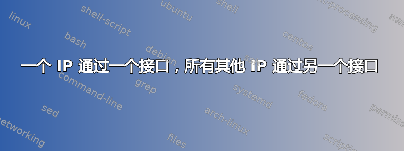 一个 IP 通过一个接口，所有其他 IP 通过另一个接口