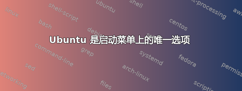 Ubuntu 是启动菜单上的唯一选项