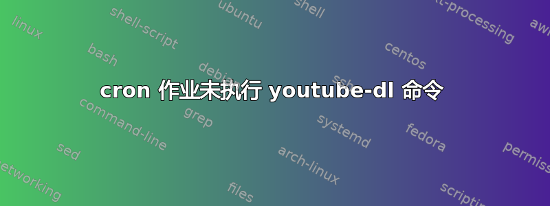 cron 作业未执行 youtube-dl 命令