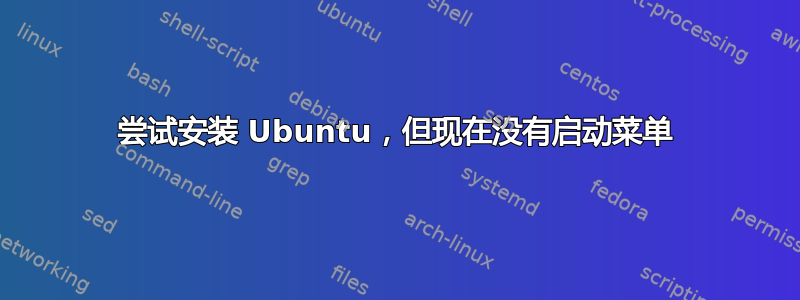 尝试安装 Ubuntu，但现在没有启动菜单