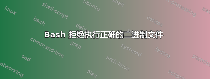 Bash 拒绝执行正确的二进制文件