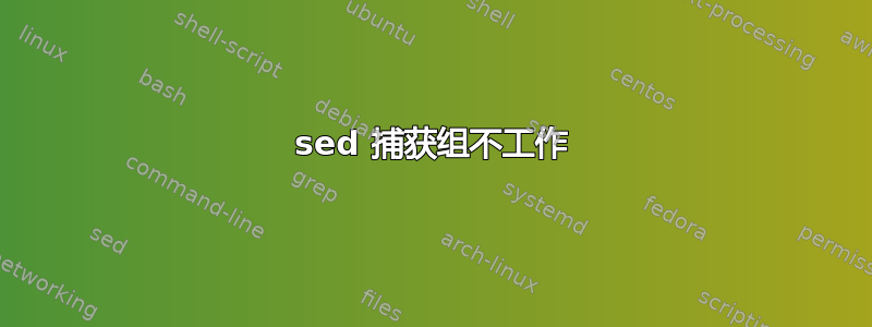 sed 捕获组不工作