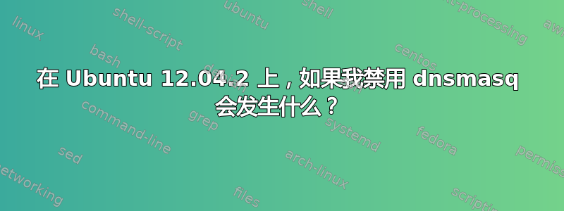 在 Ubuntu 12.04.2 上，如果我禁用 dnsmasq 会发生什么？