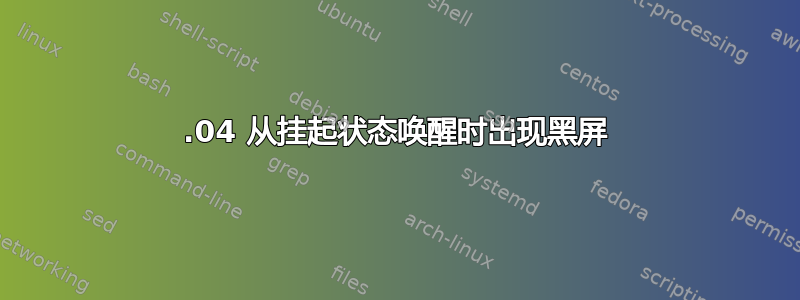 13.04 从挂起状态唤醒时出现黑屏