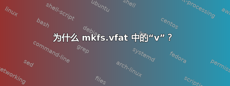 为什么 mkfs.vfat 中的“v”？