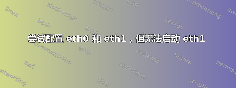 尝试配置 eth0 和 eth1，但无法启动 eth1