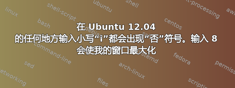 在 Ubuntu 12.04 的任何地方输入小写“i”都会出现“否”符号。输入 8 会使我的窗口最大化