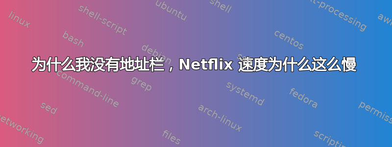 为什么我没有地址栏，Netflix 速度为什么这么慢