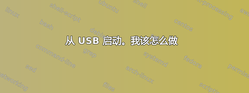 从 USB 启动。我该怎么做 