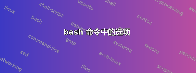 bash 命令中的选项