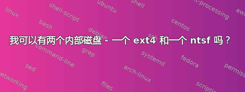 我可以有两个内部磁盘 - 一个 ext4 和一个 ntsf 吗？