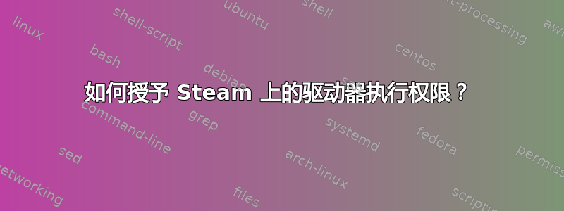 如何授予 Steam 上的驱动器执行权限？