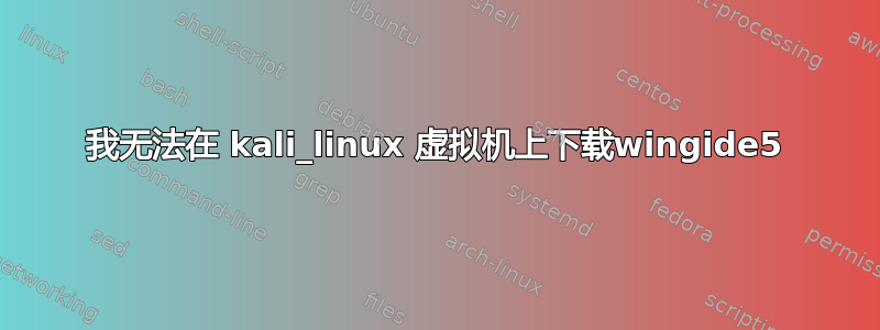 我无法在 kali_linux 虚拟机上下载wingide5