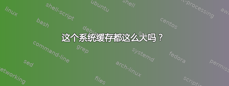 这个系统缓存都这么大吗？