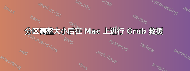 分区调整大小后在 Mac 上进行 Grub 救援