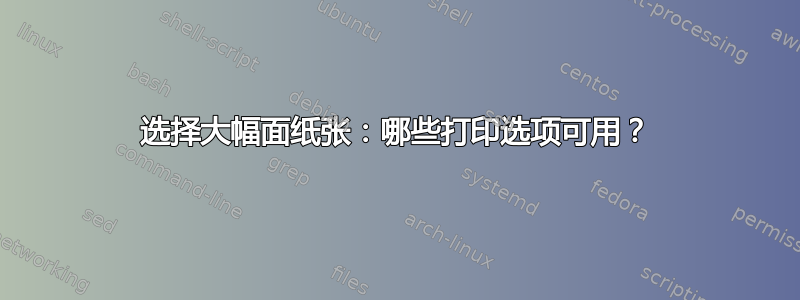 选择大幅面纸张：哪些打印选项可用？