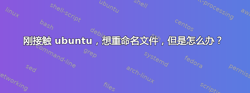 刚接触 ubuntu，想重命名文件，但是怎么办？