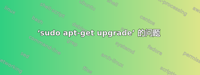 ‘sudo apt-get upgrade’ 的问题