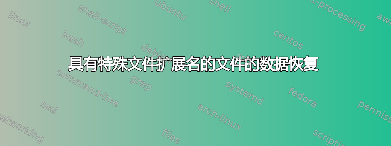 具有特殊文件扩展名的文件的数据恢复