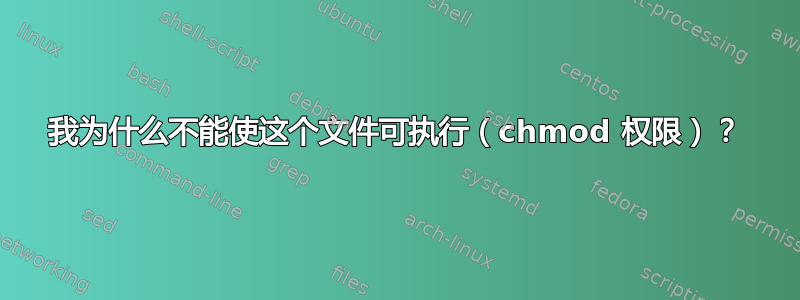 我为什么不能使这个文件可执行（chmod 权限）？