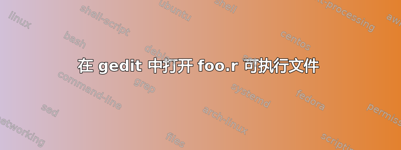 在 gedit 中打开 foo.r 可执行文件